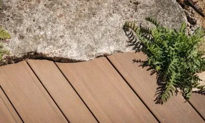 Elements – RHS Hampton Court 2025