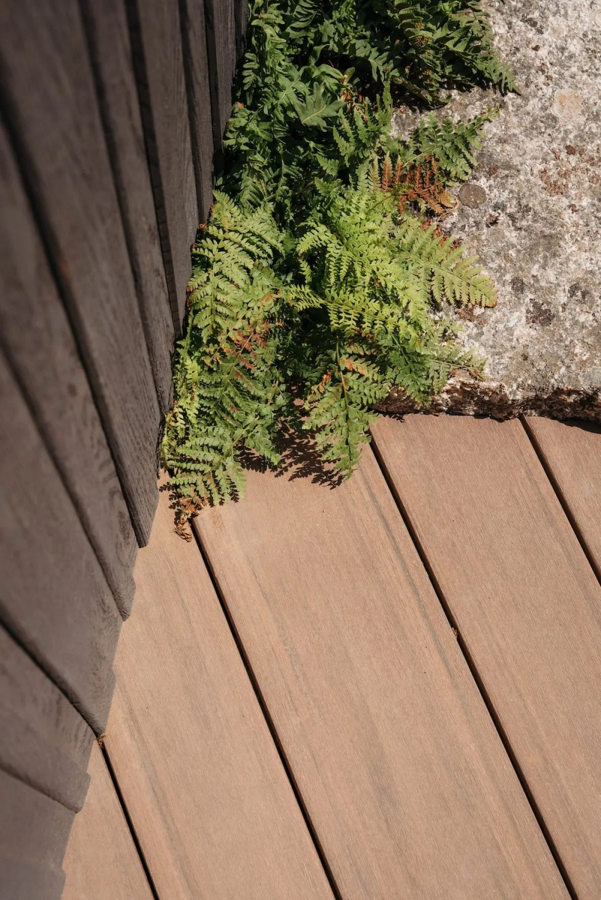 A close up of the multi width Elements decking install close up against some stones in the RHS Hampton Court garden, shown next to the Redux Cladding in Shadow colour