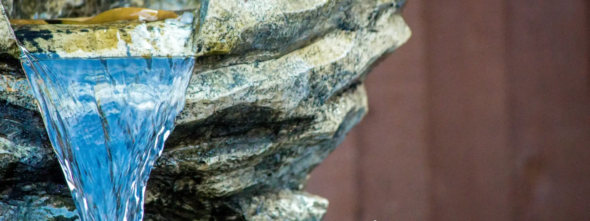 Reflect light around your shady garden